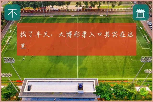 找了半天，大博彩票入口其实在这里