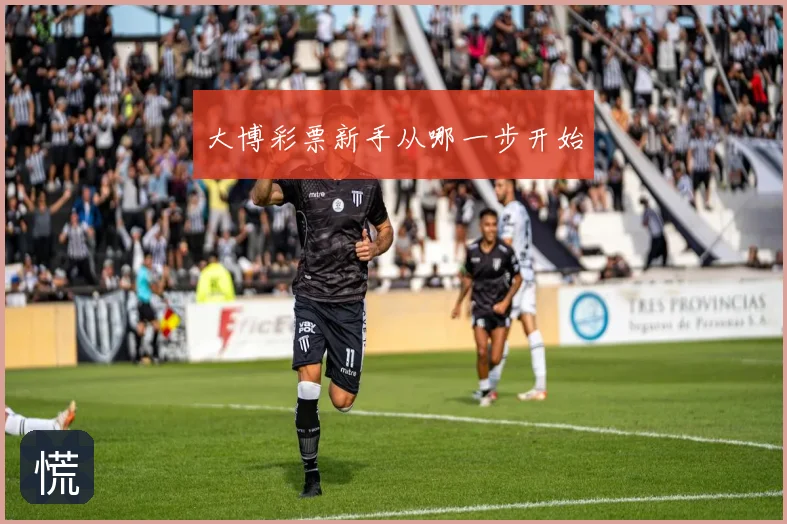 大博彩票新手从哪一步开始